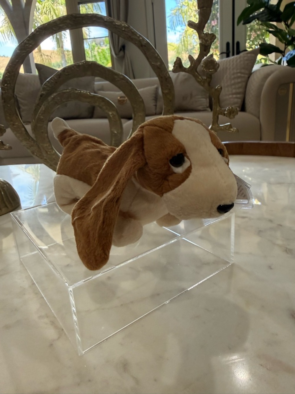 Ty Brown and White Dog Beanie Boo Plush - Picture 5 of 8